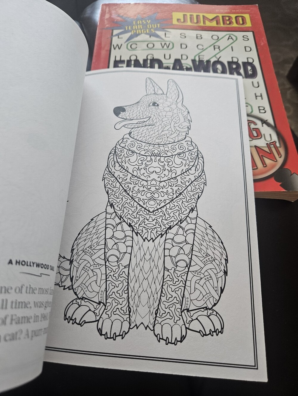 DOG Coloring Book - Multicolor - Picture 4 of 7
